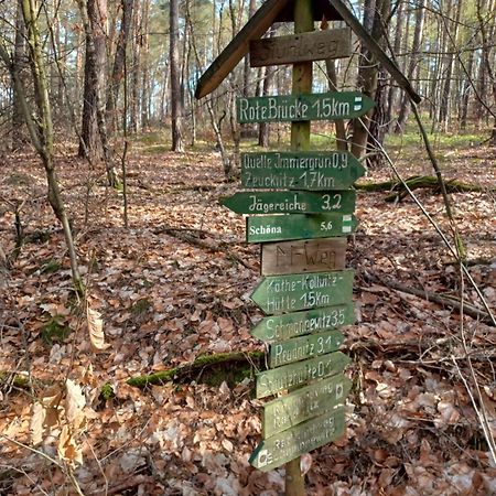 Cavertitz Waldblickヴィラ エクステリア 写真