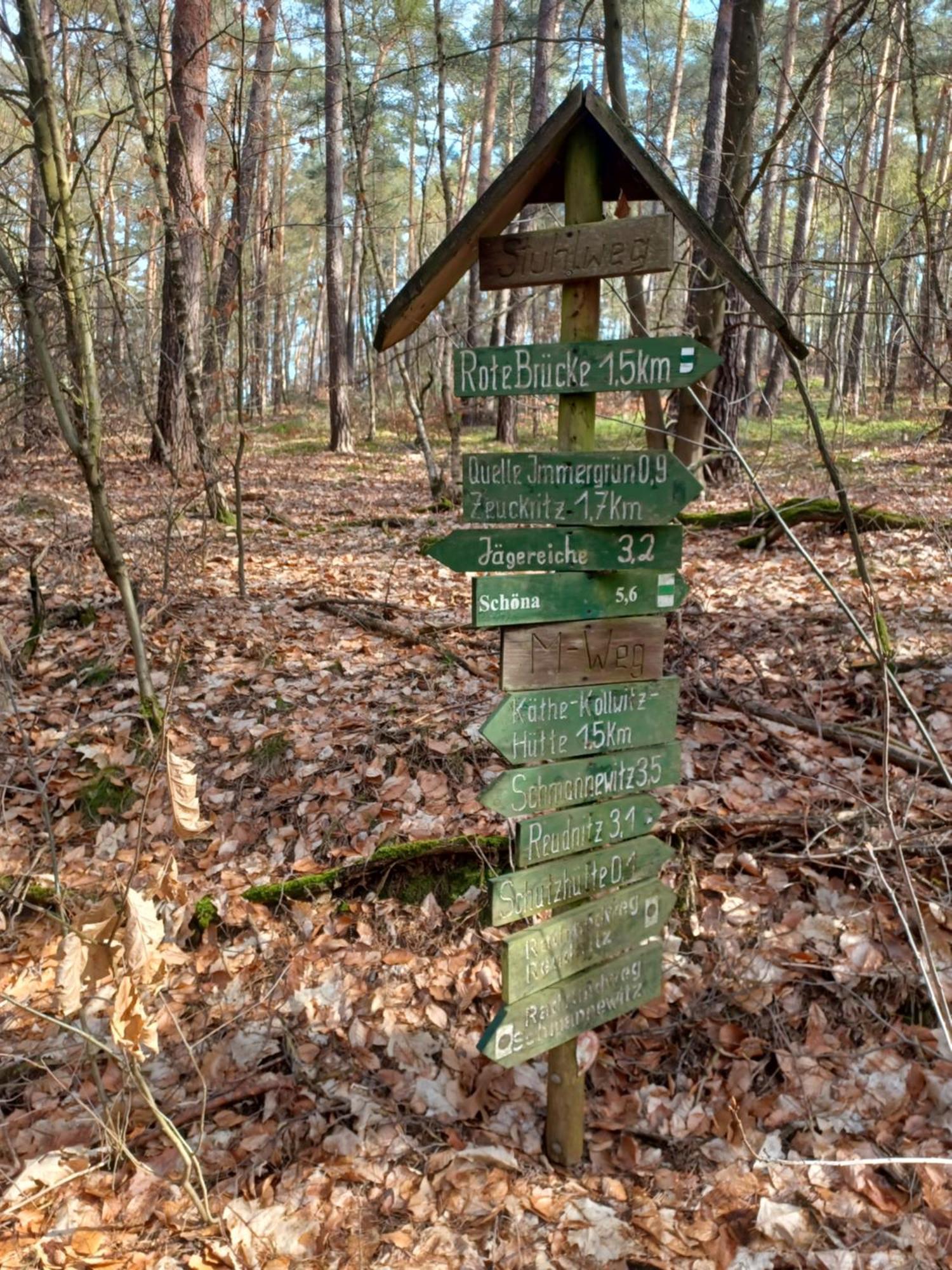 Cavertitz Waldblickヴィラ エクステリア 写真